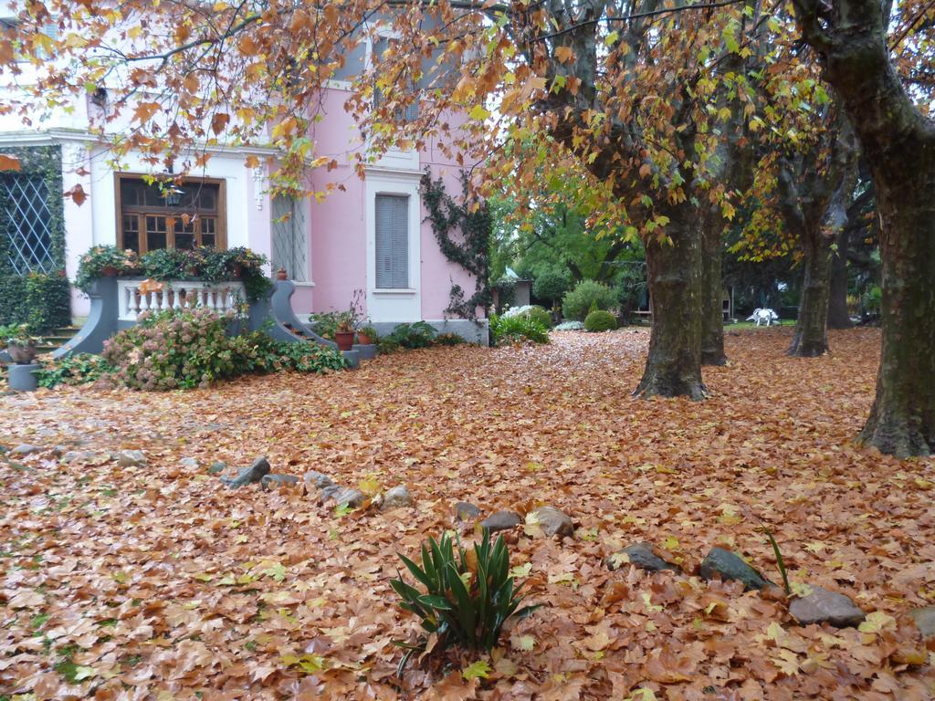 Hotel Alihuen Sierra de la Ventana Buitenkant foto